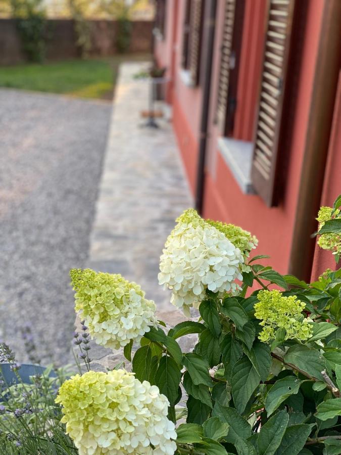 Il Mallo Verde - Lake Como B&B Mandello del Lario Eksteriør bilde