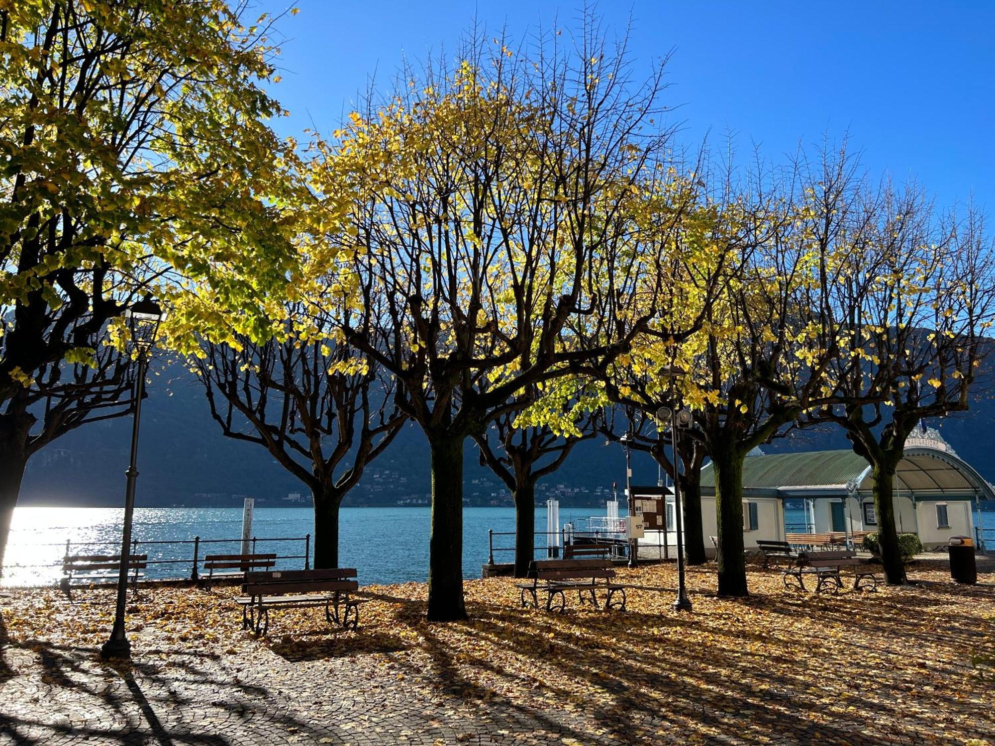 Il Mallo Verde - Lake Como B&B Mandello del Lario Eksteriør bilde