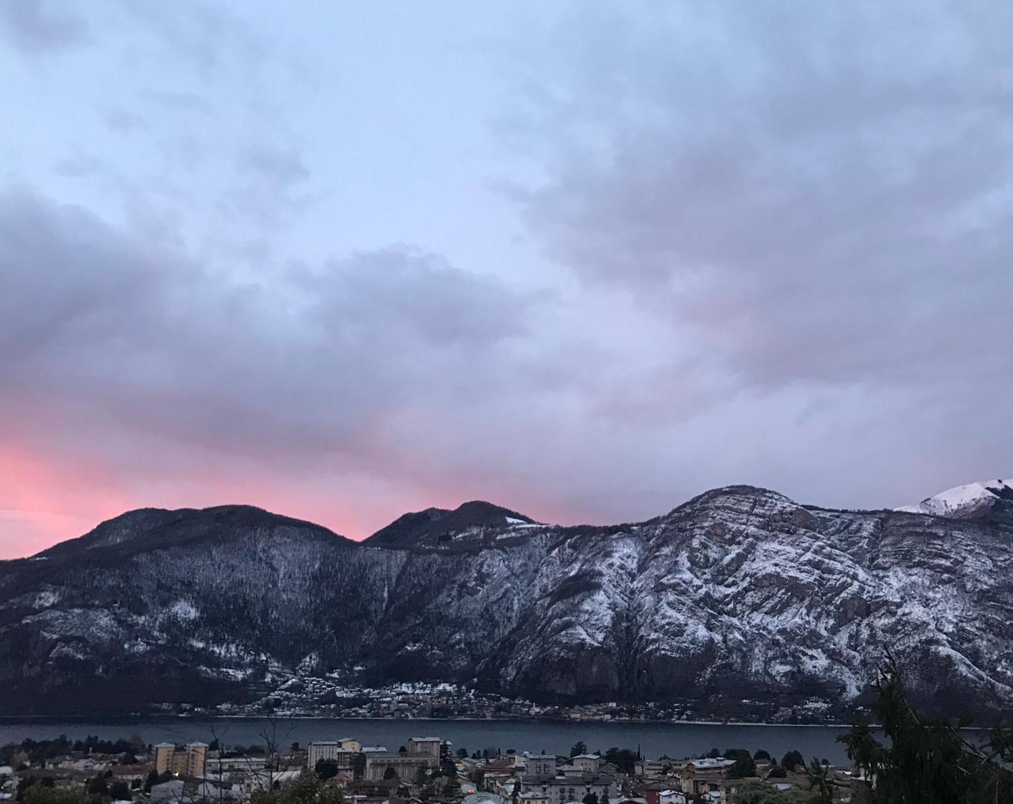 Il Mallo Verde - Lake Como B&B Mandello del Lario Eksteriør bilde